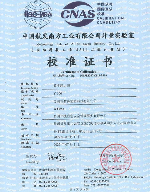 Y-100数字压力表